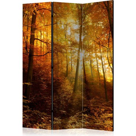 Paravento - Autumn Illumination [Room Dividers] - 135x172 (1/4)