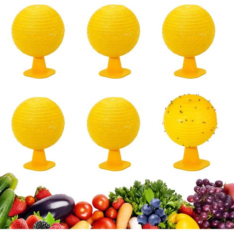 Boules Anti Moucherons Cuisine Lot de 6, Jaunes Réutilisables  Boules jaunes réutilisables, usage physique pour cuisine, fruits, évier, plantes, poubelle & maison (1/5)