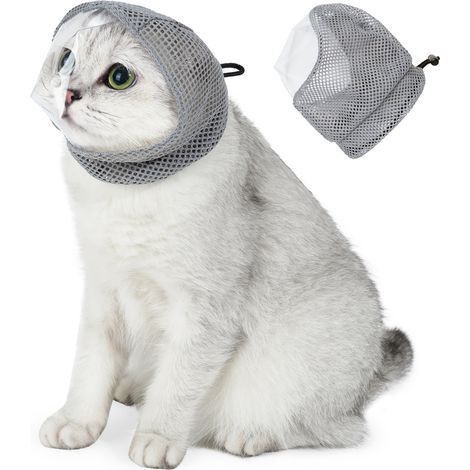 Coiffe anti-léchage pour chat (1/5)