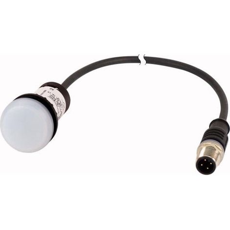 Voyant lumineux blanc 24 V avec câble 1m et connecteur mâle M12A EATON C22-L-W-24-P5