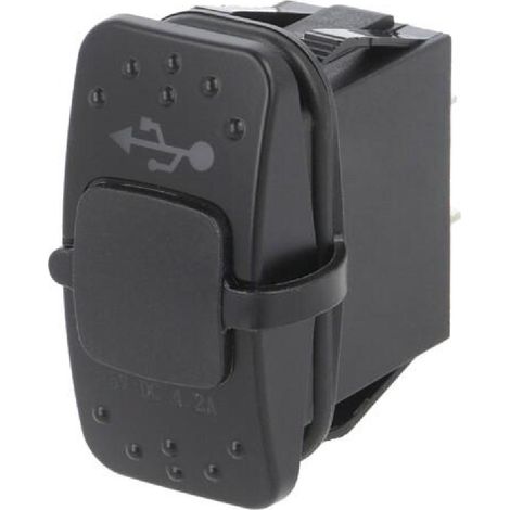 Alimentation automobile- USB A femelle x2- Tens.alim- 12-24VDC - Noir