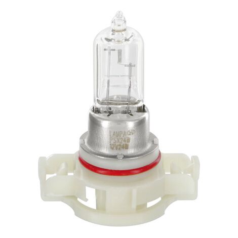 12V Lampada alogena - PS24W - 24W - PG20-3 - 1 pz  - D/Blister (1/4)