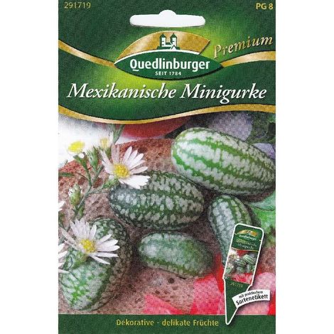 Quedlinburger Mexikanische Minigurke - Blumensamen (1/2)