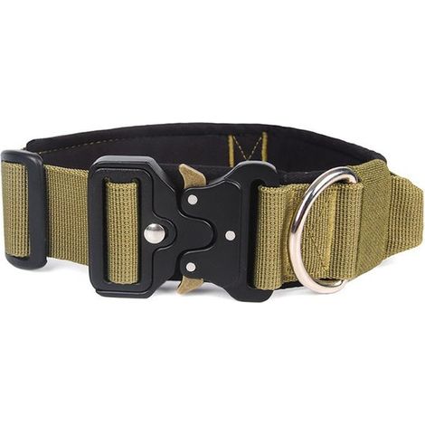 Collare M, circonferenza collo 38-48 cm, larghezza 3,8 cm, per un peso di 13-28 kg, collare per animali domestici, collare per cani, regolabile, collare per cani rinforzato Z (1/5)