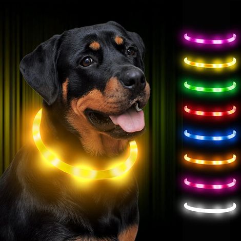 Collar luminoso para perros, ajustable, recargable, LED para perros pequeños, grandes y medianos – Amarillo (1/5)