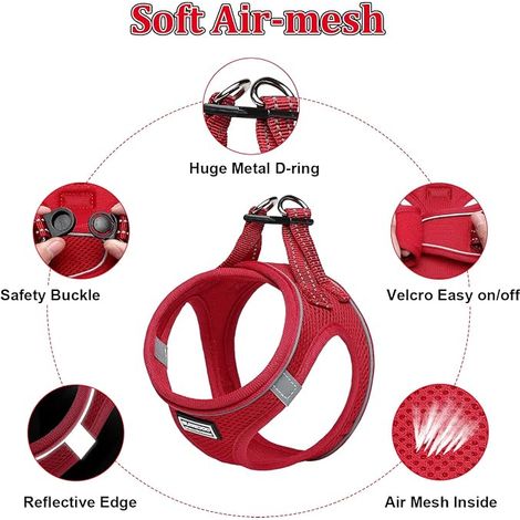 Breathable Reflective Dog Harness with Leash Step-in Harness for Dogs Cats Padded Comfort Soft Mesh Vest for Small Dogs for Walking Running Training S Red (1/4)