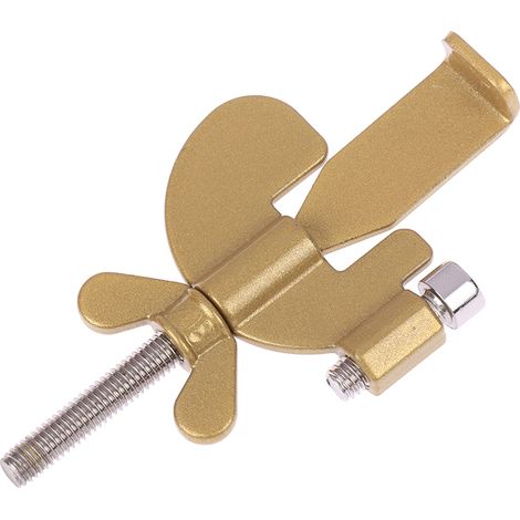 Cadenas antivol protégeant les noix de cajou avec verrouillage à vis doré (1/5)