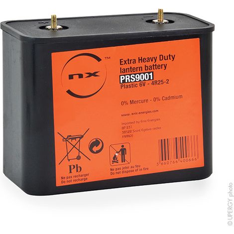 Pile porto 4R25-2 6V Saline coque plastique