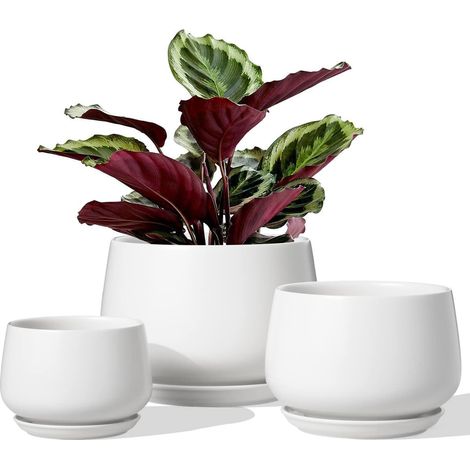 Keramik Blumentöpfe mit Untersetzer, 3er Set, Weiß, 10-16 cm (1/5)