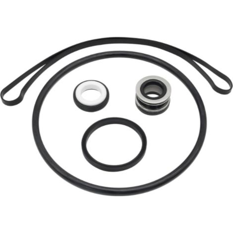 Das MEFONKOU SP3000X O-Ring-Reparaturset für Poolpumpen beinhaltet die Wellendichtungseinheit SPX1600. (1/4)