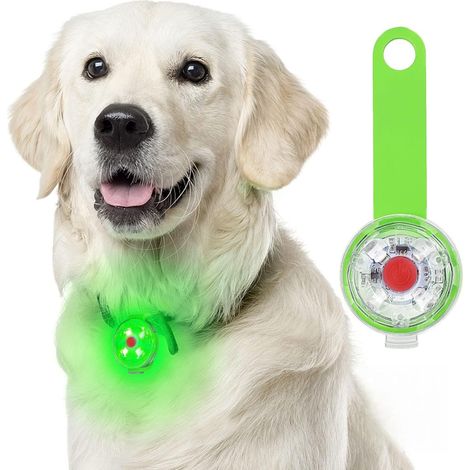 Filiyano – Lampe LED clignotante wxsp pour chiens et chats, rechargeable par USB, 3 modes de clignotement, étanche. (1/5)