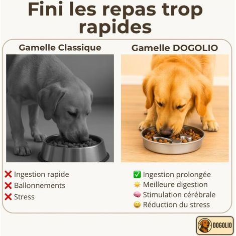 Gamelle Anti-glouton pour Chien I Acier INOX 304 I Slow Feeder Bowl 22 cm (1/3)