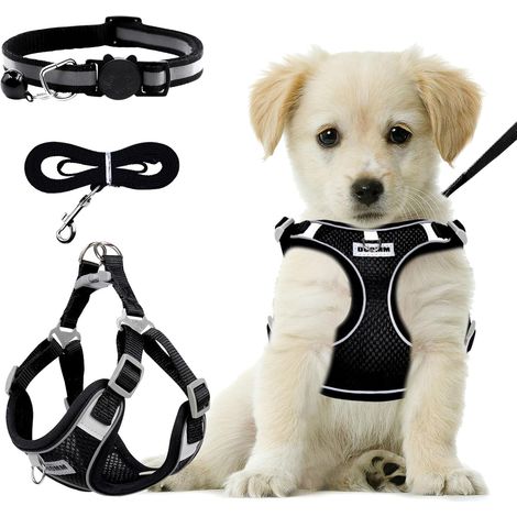 Harnais Chien avec Laisse Chien, Harnais Anti Traction pour Chiens de Petite et Moyenne Taille - Respirant - Lumineux -Taille Réglable - Harnais de sécurité pour Chien - Taille M (1/5)
