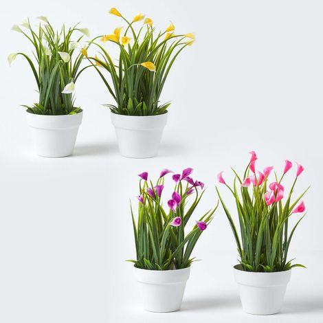 HOMESCAPES Set of 4 Multi-Coloured Artificial Calla Lilies in White Pots (1/4)