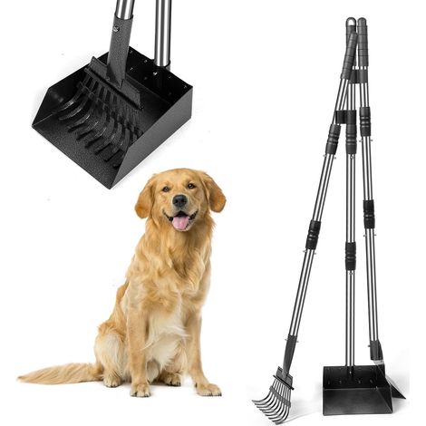 Ramasse crottes pour Chien avec Manche Long de 96 cm – Pelle, râteau et bac en métal détachables – pour Chiens Grands, Moyens et Petits – Idéal pour Jardin, Herbe, Terre ou Gravier (1/5)