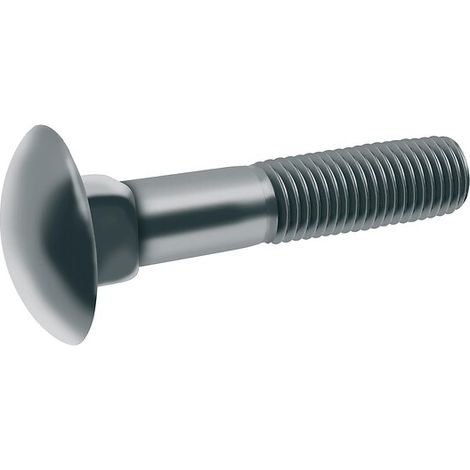 Vis métaux tête ronde collet carré inox A2 DIN 603, diamètre 6 mm, longueur 40 mm, boîte de 200 vis - ACTON