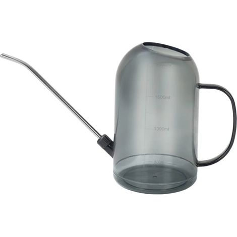 Arrosoir en acier inoxydable pour fleurs avec long bec (1/5)