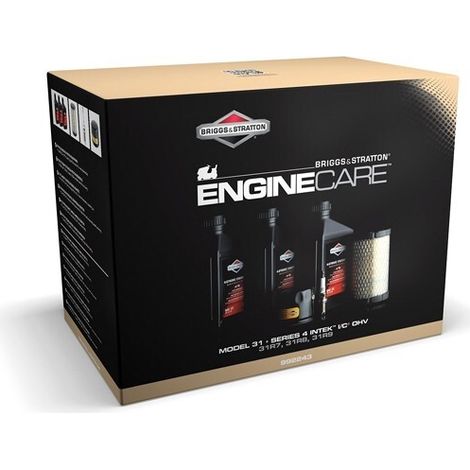 Kit BRIGGS ET STRATTON 992243 motore serie 4 modello 31