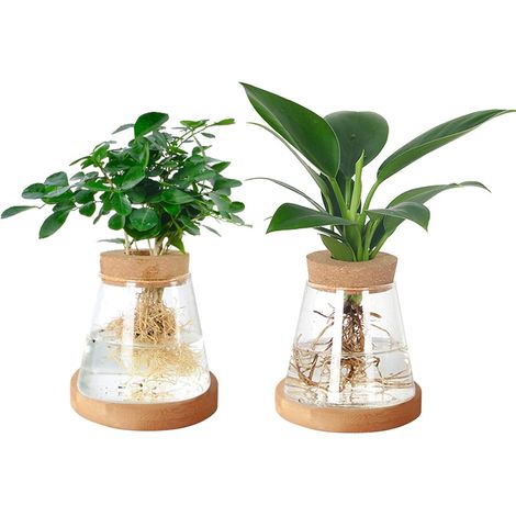 Vase en verre pour avocat, lot de 2, station de culture de plantes, pot de fleurs en verre transparent avec couvercle en bois et support en bambou pour culture hydroponique, bureau à domicile, décorat (1/5)