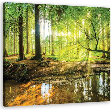 Image sur toile, Forest Lake Nature - 30x30 (1/5)