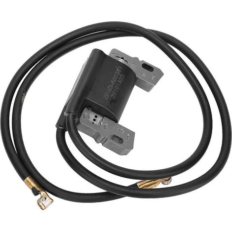 Module de bobine d'allumage haute tension compatible avec Briggs & Stratton 394891 3923 29 590781 (1/4)