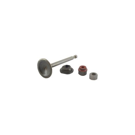 Soupape d'admission Briggs et Stratton - 594094