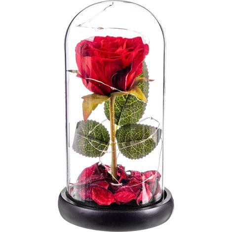 Rose red eterna leds cupula cristal 20 cm caison