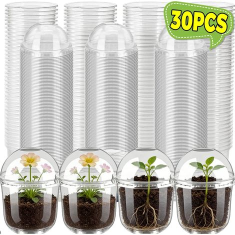 (10 pièces) Pots de pépinière avec couvercle, pots de jardinage transparents en plastique, pots pour observer les racines, conteneurs de germination. (1/4)
