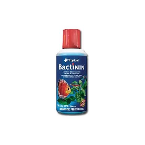 Bacto activo tropical 250 ml