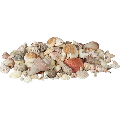 Relaxdays Pack de Conchas Marinas Grande para Decoración o Manualidades, Conchas Verdaderas, Multicolor, 2 kg
