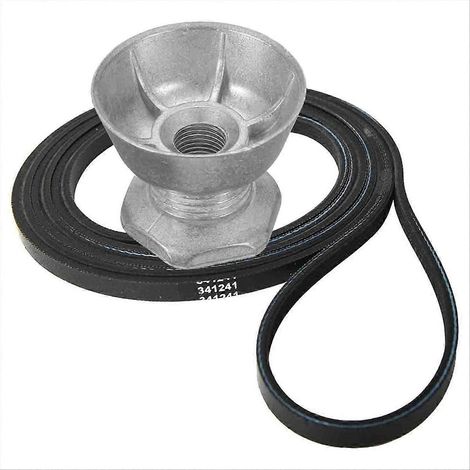 Courroie de sèche-linge 341241 et poulie de moteur 8066184 pour sèche-linge - Remplace les références : PS11744884 et W10290525 (1/5)