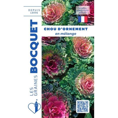 Chou d'ornement en mélange - 1g