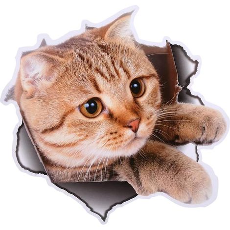 3D Wall Stickers Cats Dogs Animals with PVC Material for Bathroom Toilet Seat Decoration Sticker Interior Decoration (1/5)
