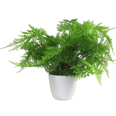 30cm Artificial Potted Lady Fern (Athyrium Filix-Femina) (1/5)