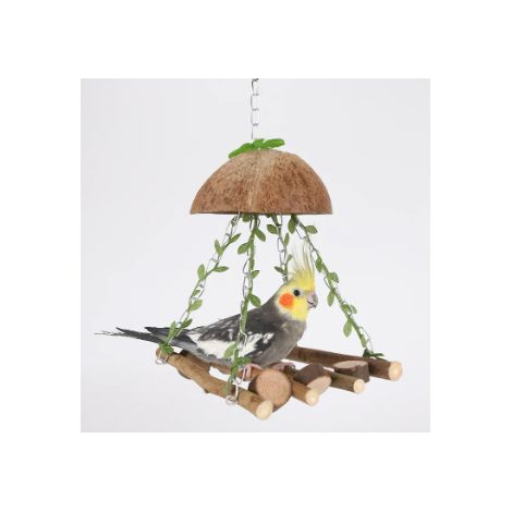 Balançoire pour perroquet en coquille de noix de coco - jouet à mâcher pour oiseaux - support en bois - jouet de dentition pour cages de perroquets - convient aux oiseaux de petite et moyenne taille