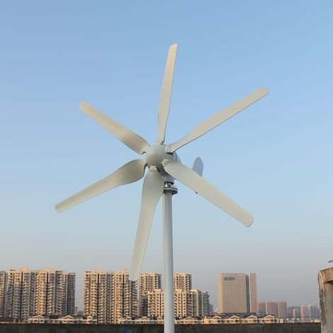 800W 12V 24V 48V Wind Generator, Horizontal 6 Blade Wind Turbine with MPPT Charge Regulator for Home (48, Volts) (1/5)