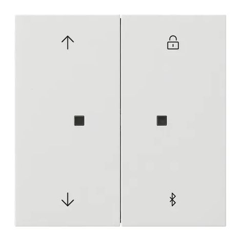Gira S3000 Persiana-/Reloj programador BT Flechas Interruptor de superficie Blanco puro [5367112], 5367 112