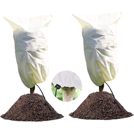 Housse d'hivernage pour plantes - Lot de 2, 60 x 80 cm, réutilisable (1/5)