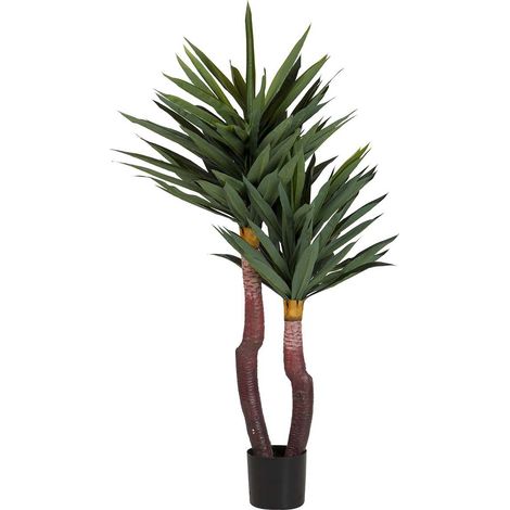 Yucca Gloriosa Pflanze mit Topf 55x55x145 cm