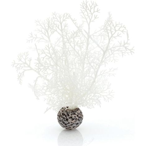 Biorb - Alcionacei (1/5)