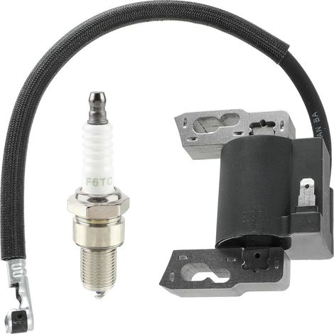 Bobine di accensione ad alta tensione compatibili con motore 797040 con candele - ALTRO (1/2)
