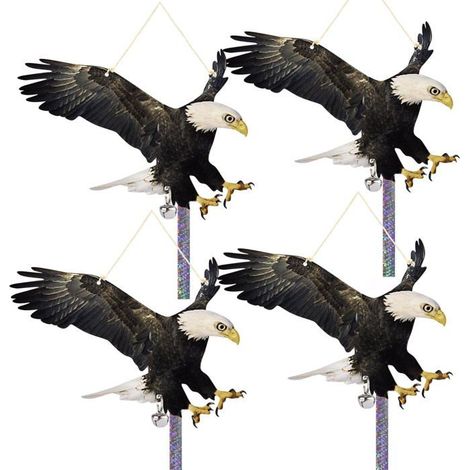 Répulsif anti-oiseaux Flat Eagle, lot de 4, réflecteur de lumière en PP, dissuasion visuelle, protection pour balcon et jardin (1/5)