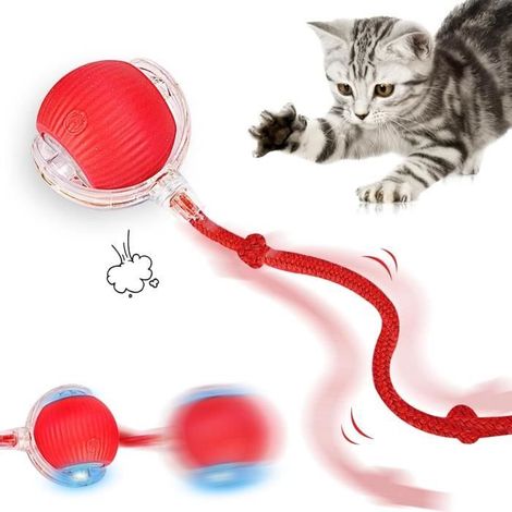 Jouet Interactif pour Chien, Balle Roulante Active, Balle Roulante Automatique Chats et Chiens, Jouet Chien Indestructible (Rouge) (1/4)