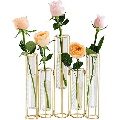 Tube à fleurs transparent en verre nordique, vase décoratif européen pour salon, ornement à fleurs séchées