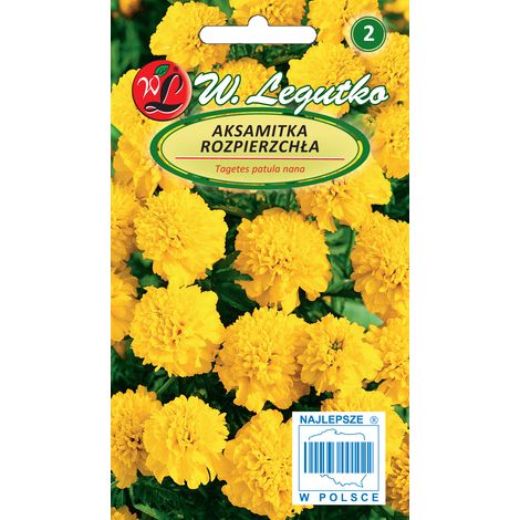 Gelbe Ringelblumensamen, 1 g