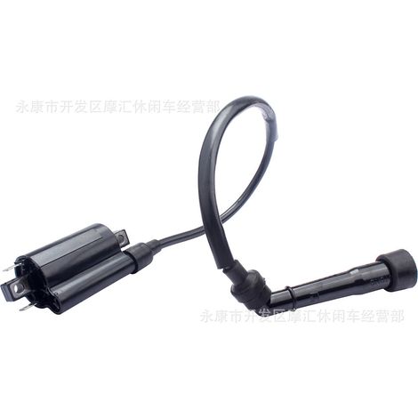 Suitable for Kawasaki EN500C Vulcan Yamaha V Star GN250 high voltage coil ignition coil (1/5)