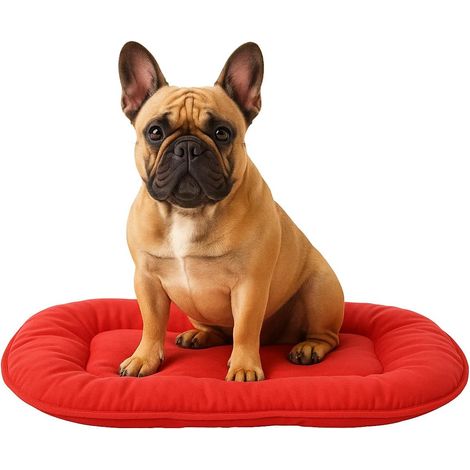 1 Coussin Chien, Forme Ovale, Tissu Respirant, Rembourrage Polyester, Lavable, Intérieur Extérieur