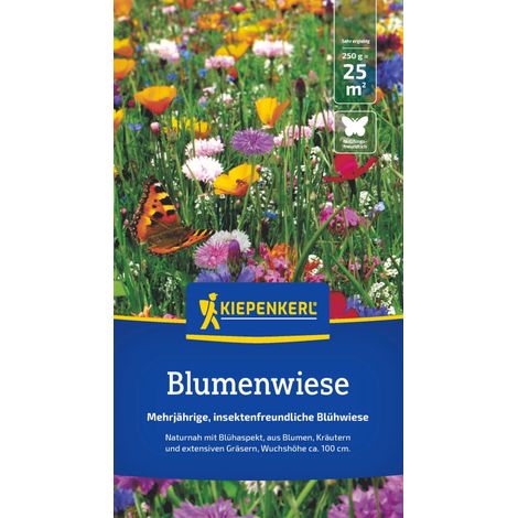 Kiepenkerl Saatgut Kiepenkerl Blumenwiese für ca. 25 m²