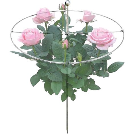 Pflanzenstützen Metall aussen innen Blumenständer Käfige und