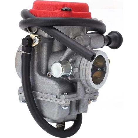 Carburateur - 28 mm - Pour ATV 250cc Jianshe JS250 Mountain Lion - Remplacement Direct - 1 Pièce (1/5)